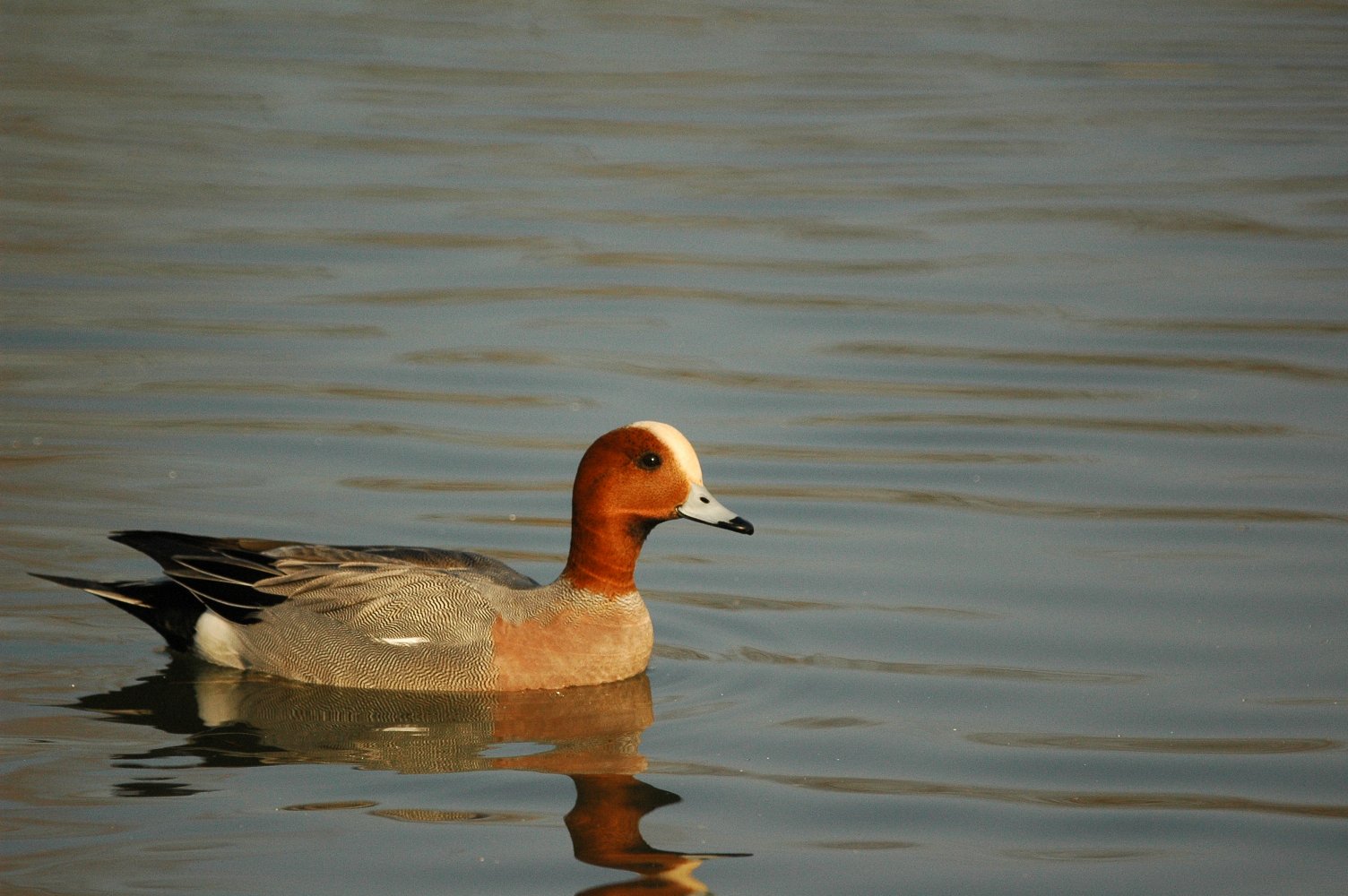 b0069128_0118.jpg