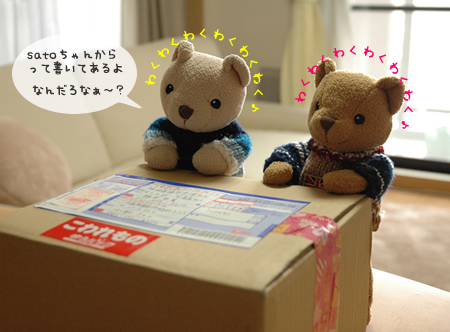 satoちゃんのお菓子_b0016049_13562638.jpg