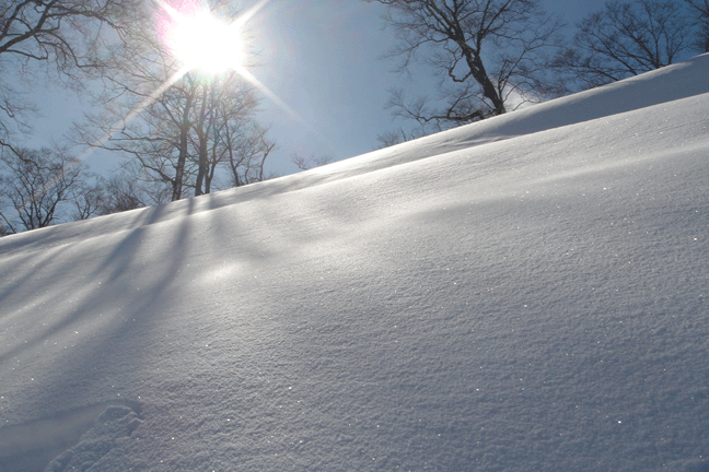e0063003_21145439.gif