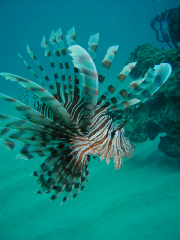 a0045119_1924566.jpg