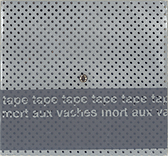 d0007234_341529.gif