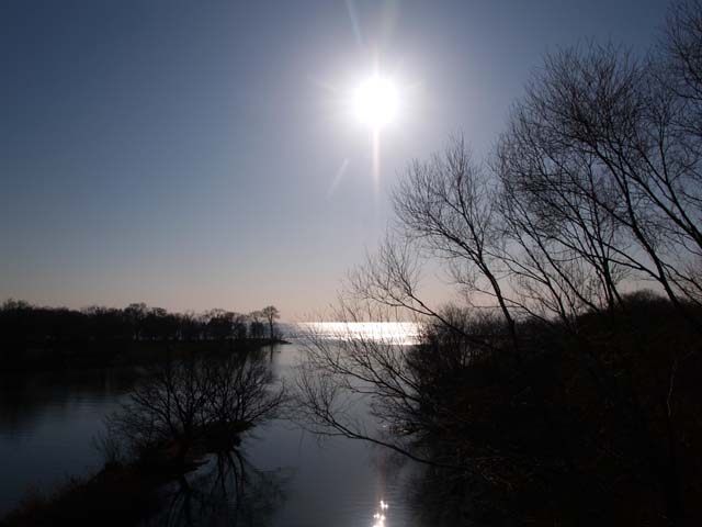 e0019563_2322175.jpg