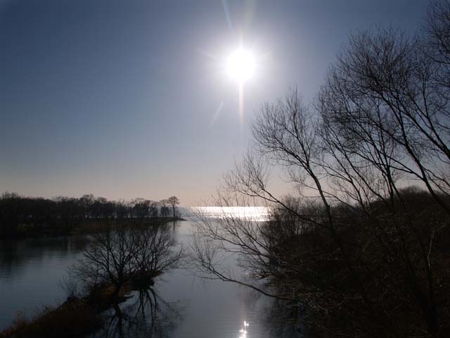 e0019563_23222052.jpg