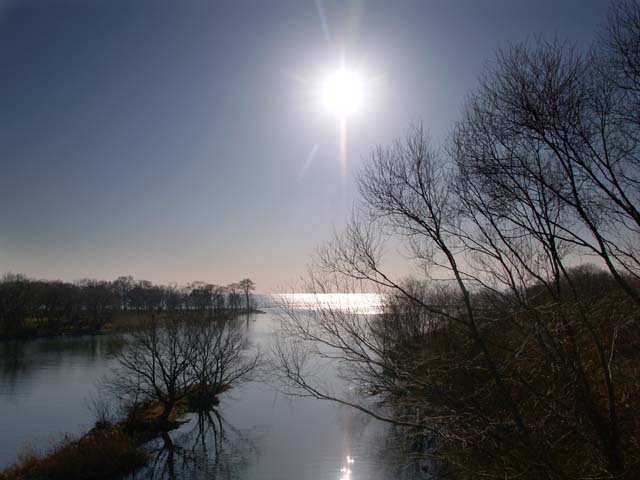 e0019563_23223868.jpg