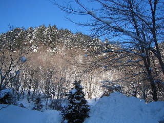 真っ白な飛騨高山へ_c0056475_1232273.jpg