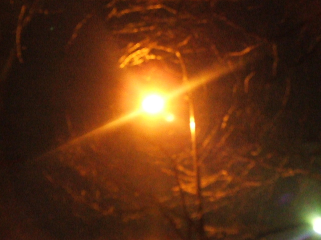 f0028584_86826.jpg