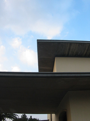 f0035501_23221912.jpg