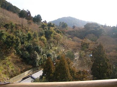 b0050805_0493684.jpg