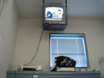 b0043506_22443332.gif