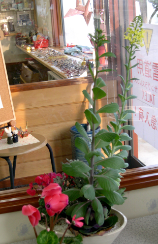 d0068023_040398.jpg