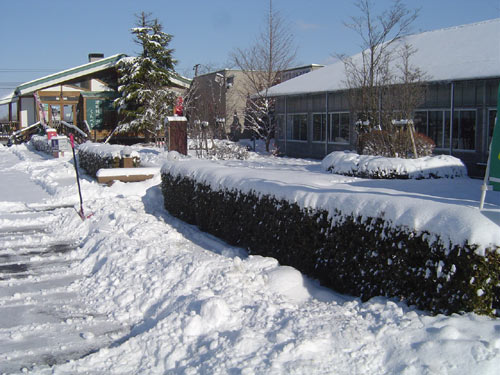 f0052323_9192151.jpg