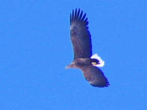e0062415_17373341.jpg
