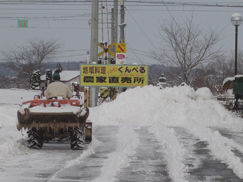 f0052323_18563.jpg