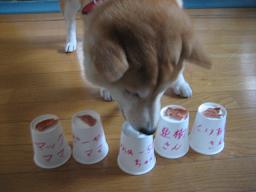 クイズ参加して頂き、ありがとうございました!_c0049950_1845680.jpg