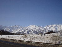 d0004195_2117493.jpg