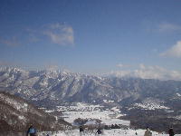 d0004195_21221732.jpg