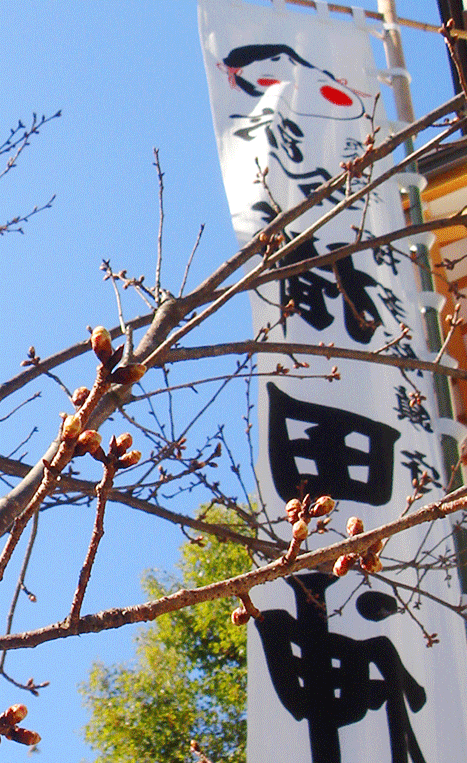 c0049601_0183460.gif