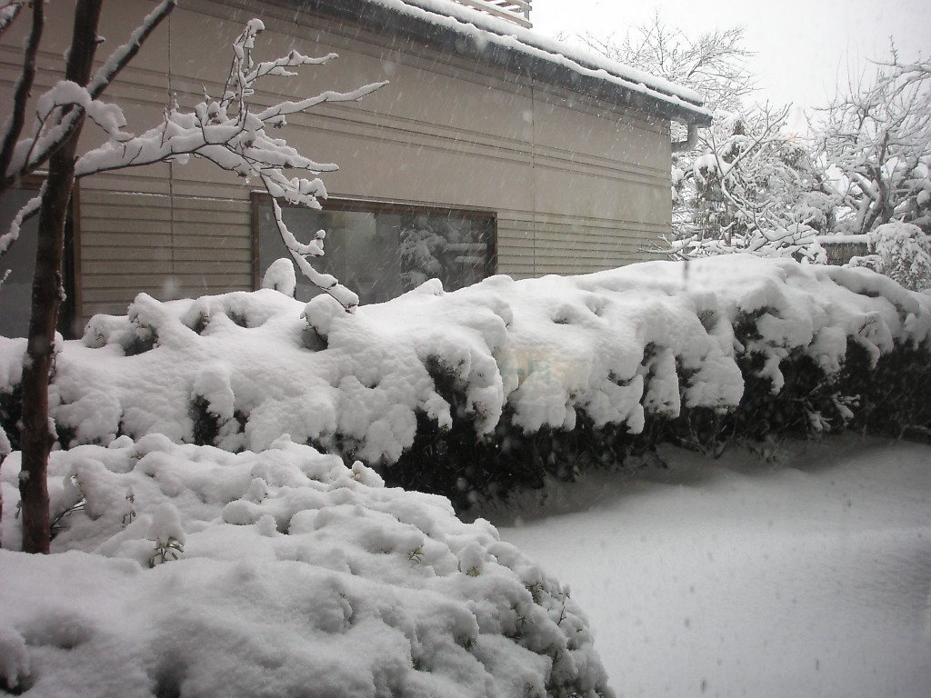 f0061402_20532733.jpg