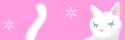 a0064067_2248665.gif
