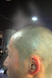 a0004993_22511885.gif