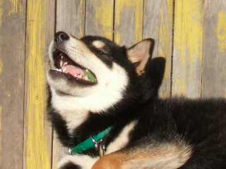 a0052750_18135971.jpg