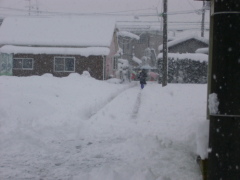 58年ぶりの大雪だって？_f0037055_1705436.jpg