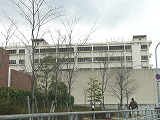 b0035066_07565.jpg