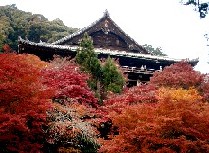 長谷寺、あでやかに衣替え　（奈良）_b0067283_1921098.jpg