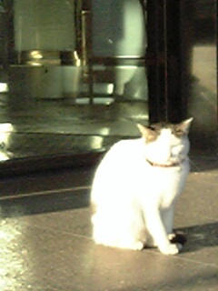 c0037701_0114597.jpg