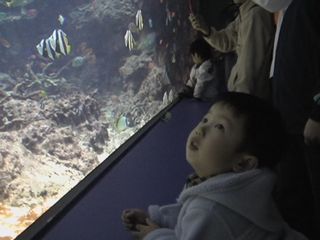 d0017310_11672.jpg