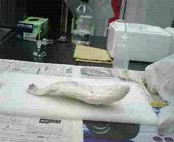 e0000111_2242519.gif
