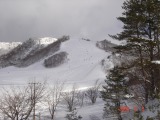 c0009617_33226.jpg