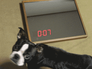 e0080117_22161732.gif