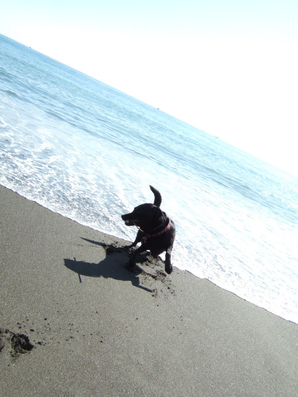 c0039145_23312062.jpg