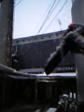 d0007957_22434792.jpg