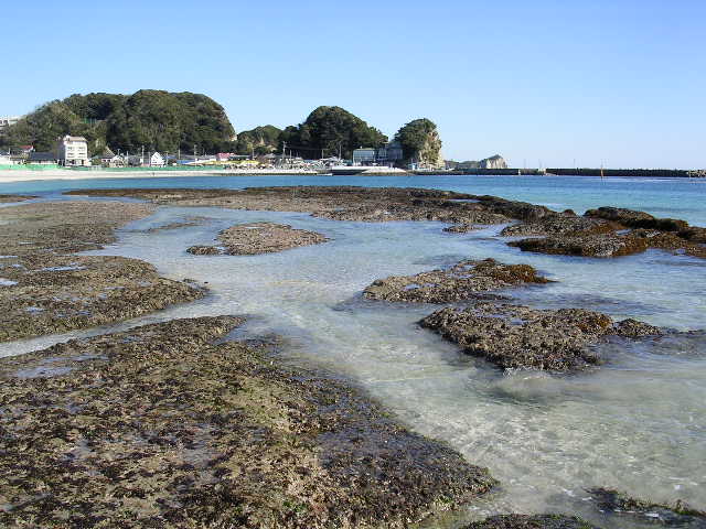 2006年2月6日興津海岸_f0060461_765986.jpg