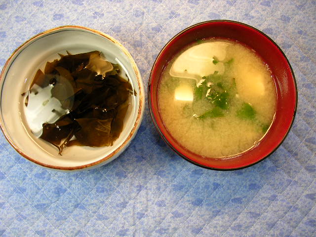 2006年2月6日興津海岸_f0060461_78131.jpg