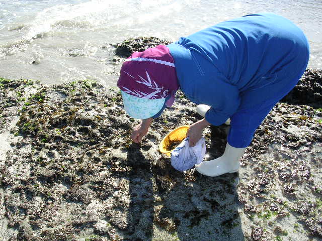2006年2月6日興津海岸_f0060461_8291339.jpg