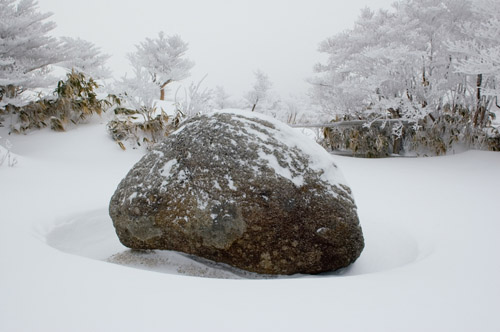 またまた・・御在所岳に♪_a0044202_18534655.jpg