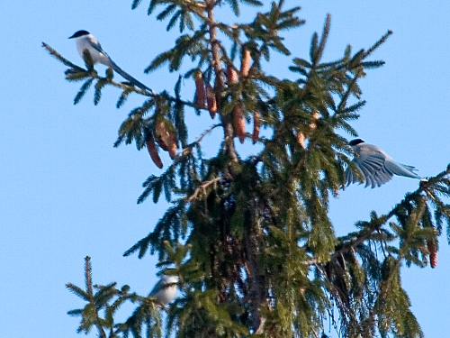 c0008502_17132611.jpg