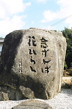 『ゆっくり歩む者は、一番遠くまで行く』_d0046025_013425.jpg