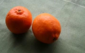 Orange_a0050030_46312.jpg