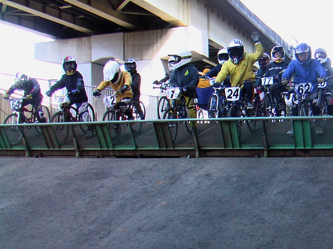 b0065730_524522.jpg