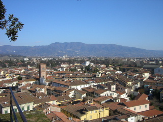 Lucca(ルッカ)の街_a0059035_6353547.jpg
