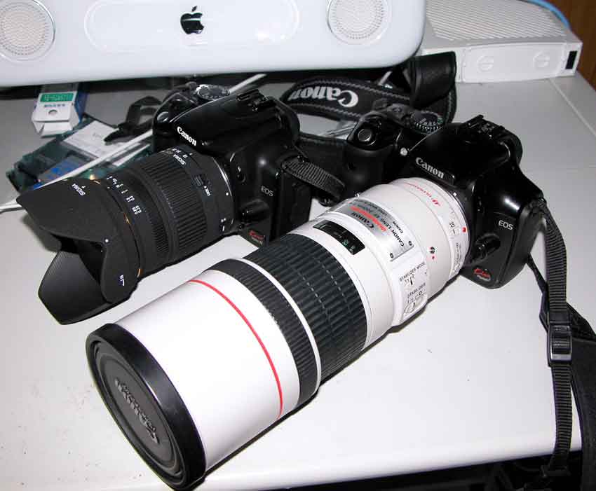 Canon EF300mm F4L IS USM♪ : すえドンのフォト日記
