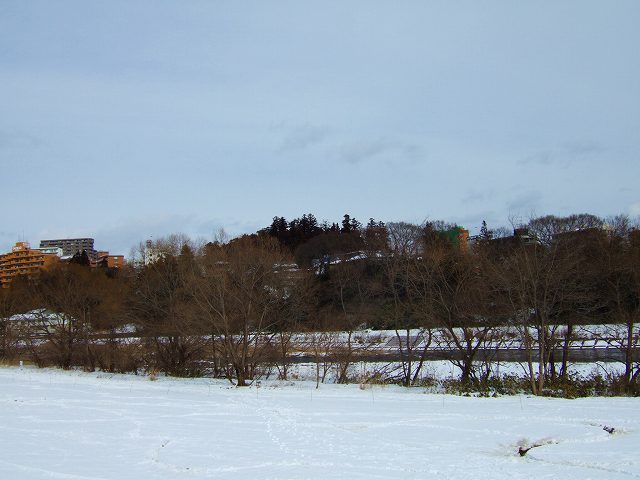 a0036649_20555936.jpg