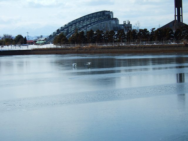 a0036649_21313075.jpg