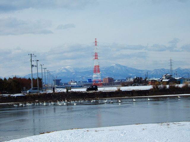 a0036649_21405371.jpg