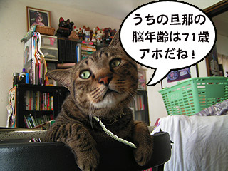 脳年齢は71歳!トホホホ・・・・・_a0028451_18454528.jpg