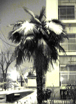 f0041351_647730.jpg